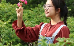 无遮掩H黄纯肉动漫在线观看星